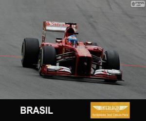 пазл Фернандо Алонсо - Ferrari - 2013 Гран-при Бразилии, 3-й классифицируются